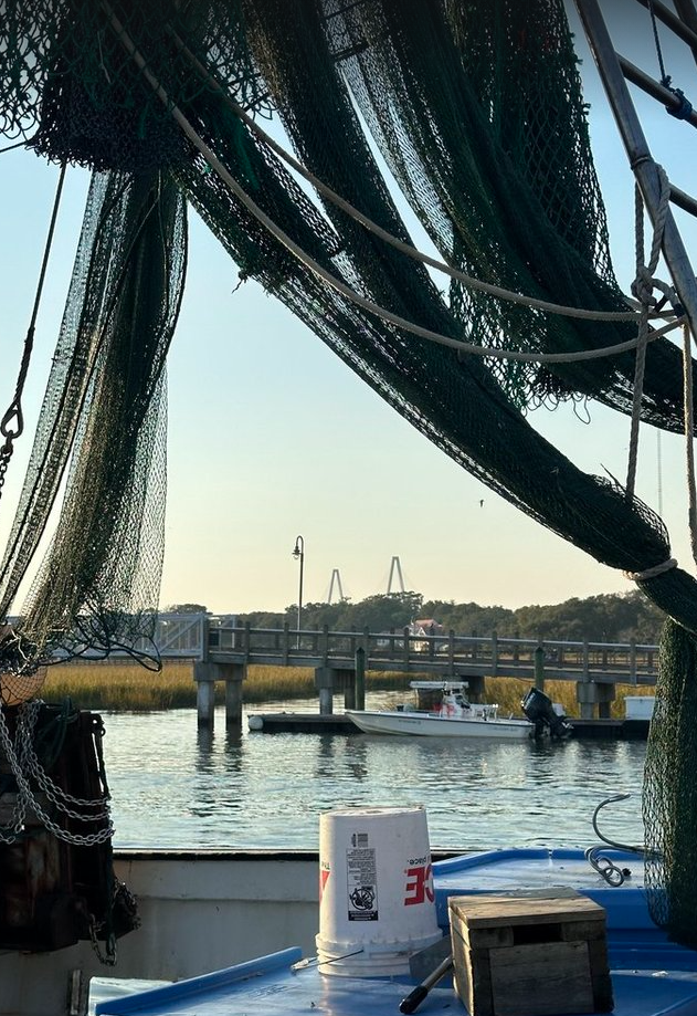 A local’s 10 Day Itinerary: Travel Inspiration for Charleston, SC